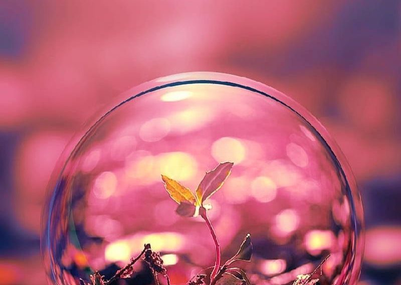 Karthik…First year web development to explained by jkkn college